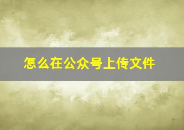 怎么在公众号上传文件