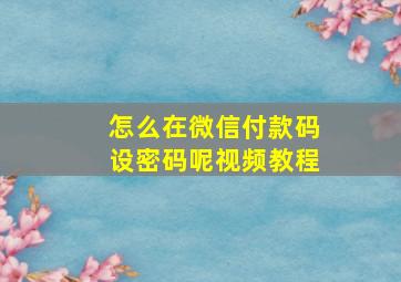 怎么在微信付款码设密码呢视频教程