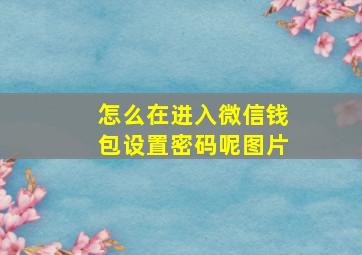 怎么在进入微信钱包设置密码呢图片