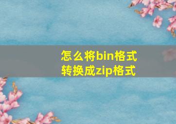 怎么将bin格式转换成zip格式