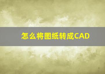 怎么将图纸转成CAD