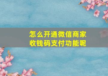 怎么开通微信商家收钱码支付功能呢