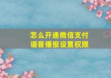 怎么开通微信支付语音播报设置权限