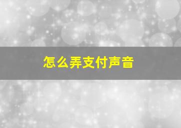 怎么弄支付声音