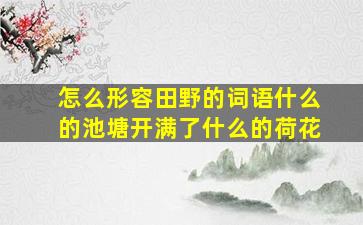 怎么形容田野的词语什么的池塘开满了什么的荷花