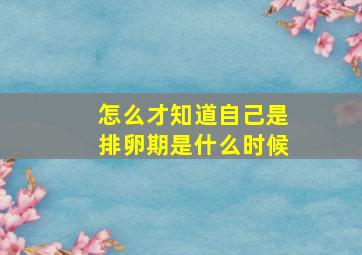 怎么才知道自己是排卵期是什么时候