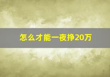 怎么才能一夜挣20万