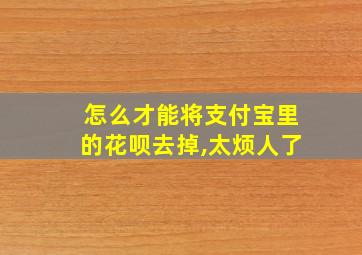 怎么才能将支付宝里的花呗去掉,太烦人了