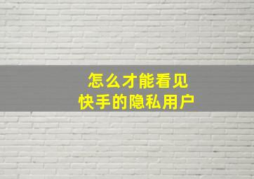 怎么才能看见快手的隐私用户