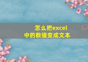 怎么把excel中的数值变成文本