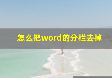 怎么把word的分栏去掉