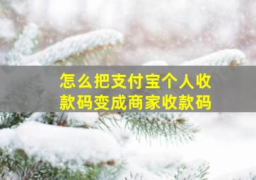 怎么把支付宝个人收款码变成商家收款码