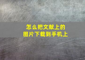 怎么把文献上的图片下载到手机上