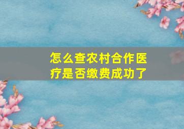 怎么查农村合作医疗是否缴费成功了