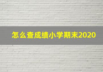 怎么查成绩小学期末2020