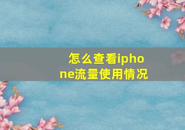 怎么查看iphone流量使用情况