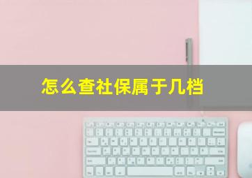 怎么查社保属于几档