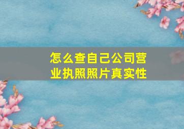 怎么查自己公司营业执照照片真实性