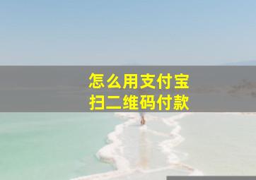 怎么用支付宝扫二维码付款