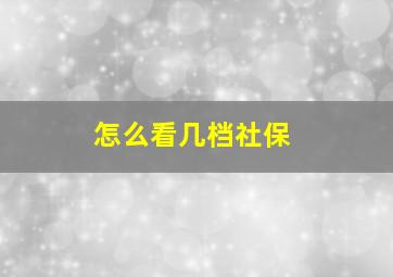 怎么看几档社保