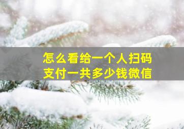 怎么看给一个人扫码支付一共多少钱微信