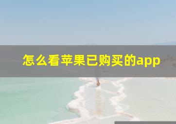 怎么看苹果已购买的app