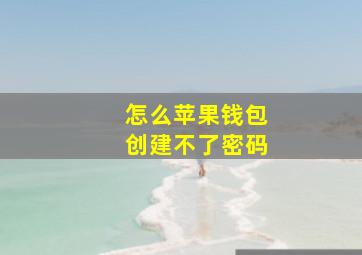 怎么苹果钱包创建不了密码