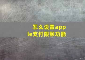 怎么设置apple支付限额功能