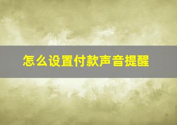 怎么设置付款声音提醒