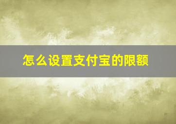 怎么设置支付宝的限额