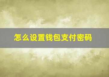 怎么设置钱包支付密码