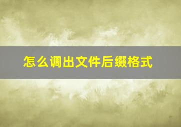 怎么调出文件后缀格式