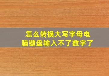 怎么转换大写字母电脑键盘输入不了数字了