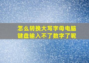 怎么转换大写字母电脑键盘输入不了数字了呢