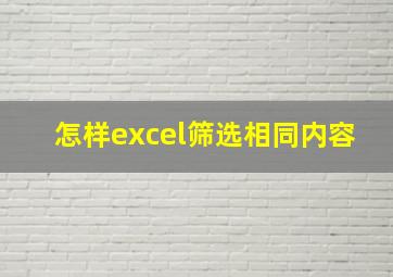 怎样excel筛选相同内容