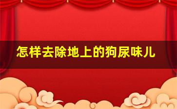 怎样去除地上的狗尿味儿