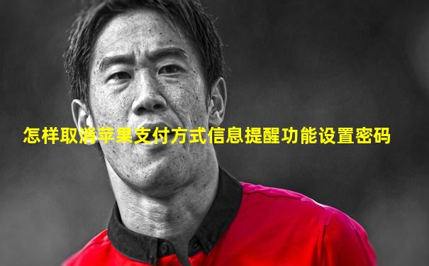 怎样取消苹果支付方式信息提醒功能设置密码