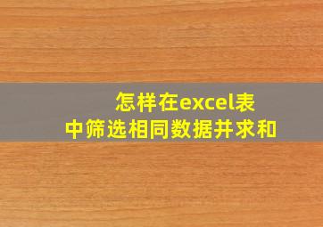 怎样在excel表中筛选相同数据并求和