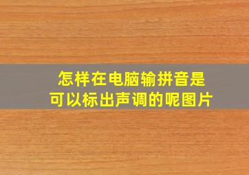 怎样在电脑输拼音是可以标出声调的呢图片