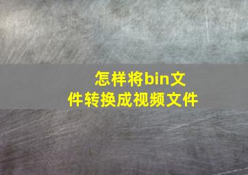 怎样将bin文件转换成视频文件