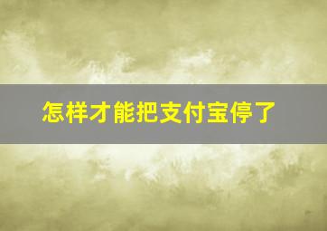 怎样才能把支付宝停了