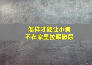 怎样才能让小狗不在家里拉屎撒尿