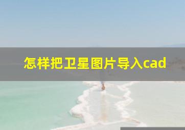 怎样把卫星图片导入cad