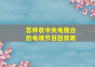 怎样收中央电视台的电视节目回放呢