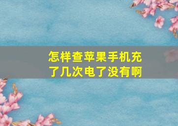 怎样查苹果手机充了几次电了没有啊