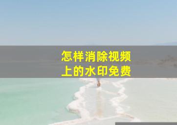 怎样消除视频上的水印免费