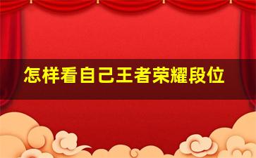 怎样看自己王者荣耀段位