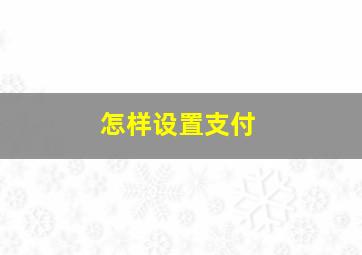 怎样设置支付