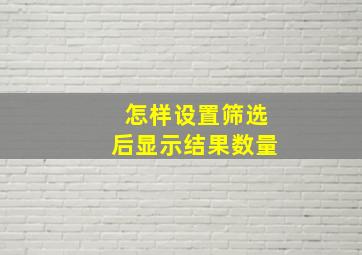 怎样设置筛选后显示结果数量