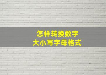 怎样转换数字大小写字母格式